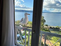 -洞爷湖万世阁酒店