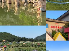 -龙里油画大草原旅游区