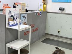 -美美宠物诊疗中心·异宠·骨科(滨江东信分院)