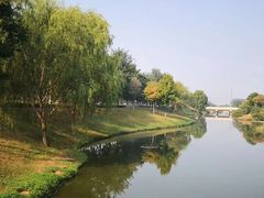 -九里湖国家湿地公园