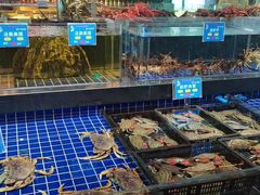 -宝轩渔府·老字号海鲜·正宗津菜(水上店)