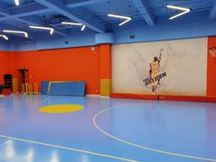 -逸动少儿体能·运动培训(申花校区)