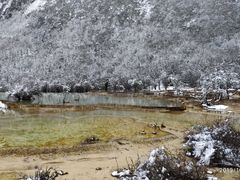 -黄龙山原始森林景区