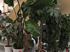 -七欣天香辣蟹火锅(南京桥北太平店)