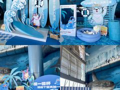 -海合安天津极地海洋公园