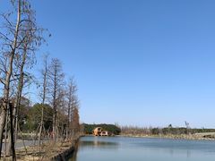 -广富林郊野公园