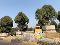 -中国唐苑
