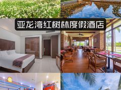 -三亚亚龙湾铂尔曼别墅度假酒店