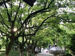 -浙江大学(玉泉校区)