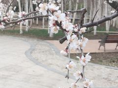 -长春公园(普阳街道)