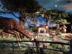 -国家自然博物馆