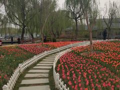 -廊坊文化艺术中心