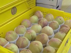 -老袁家蜜桃农场·阳山水蜜桃