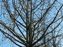 -上海交通大学(闵行校区)