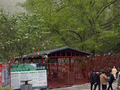 -周洛大峡谷