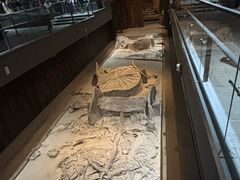 -北京大葆台遗址博物馆