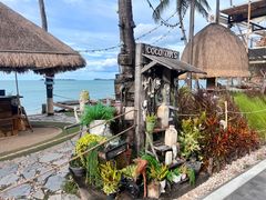-Coco Tam’s
