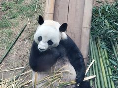 -大连森林动物园