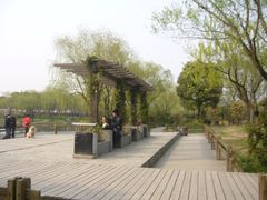-新江湾城公园