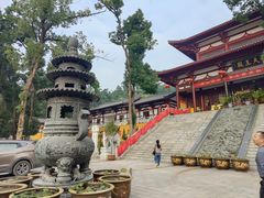-潜山国家森林公园