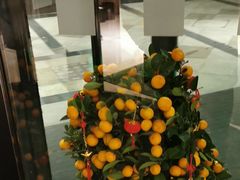 -上海浦东丽晟假日酒店