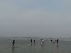 -南汇嘴观海公园