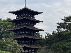 -北京世界公园