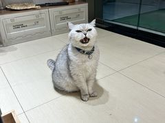 -Oasis绿洲银饰珍珠手作diy(壹方城店)