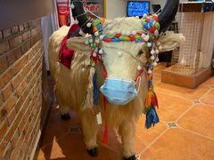 -后院犇牛主题餐厅(云岗店)