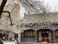 -护国法轮寺