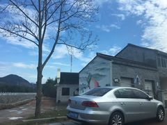 -新建村梅花