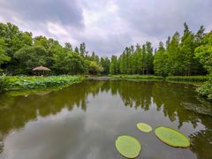 -上海滨江森林公园