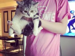 -Bastet sally猫舍购宠(静安店)