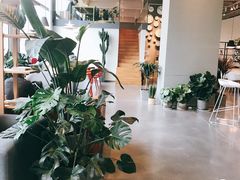 -dotcom coffee古点咖啡(致真大厦店)