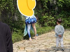 -巡塘古镇