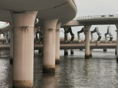 -演武大桥观景平台