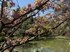 -上海瑞金洲际酒店