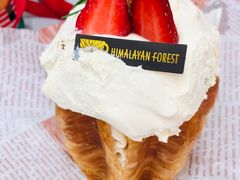 -喜马拉雅森HIMALAYAN FOREST