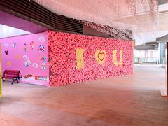 -大鹏佳兆业广场