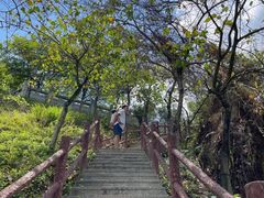 -水濂山森林公园