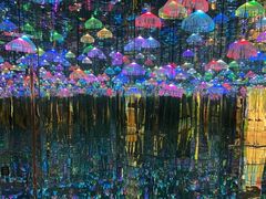 -上海梵高星空艺术馆(南京路旗舰店)