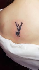 -SNOW TATTOO STUDIO