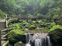 -牛背梁国家森林公园