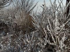 -崂山巨峰游览区