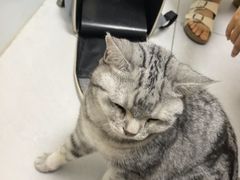 -达爱动物医院·犬猫分区·CT·复杂眼科(远洋山水分院)
