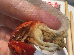-杨氏青龙虾·羊蝎子(金盛路总店)