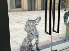 -佩兹宠物医院肿瘤专科·眼科·牙科(黄浦店)