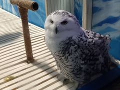 -成都浩海立方海洋公园