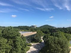 -上海佘山世茂艾美酒店