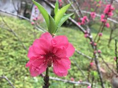 -广州市流溪河国家森林公园